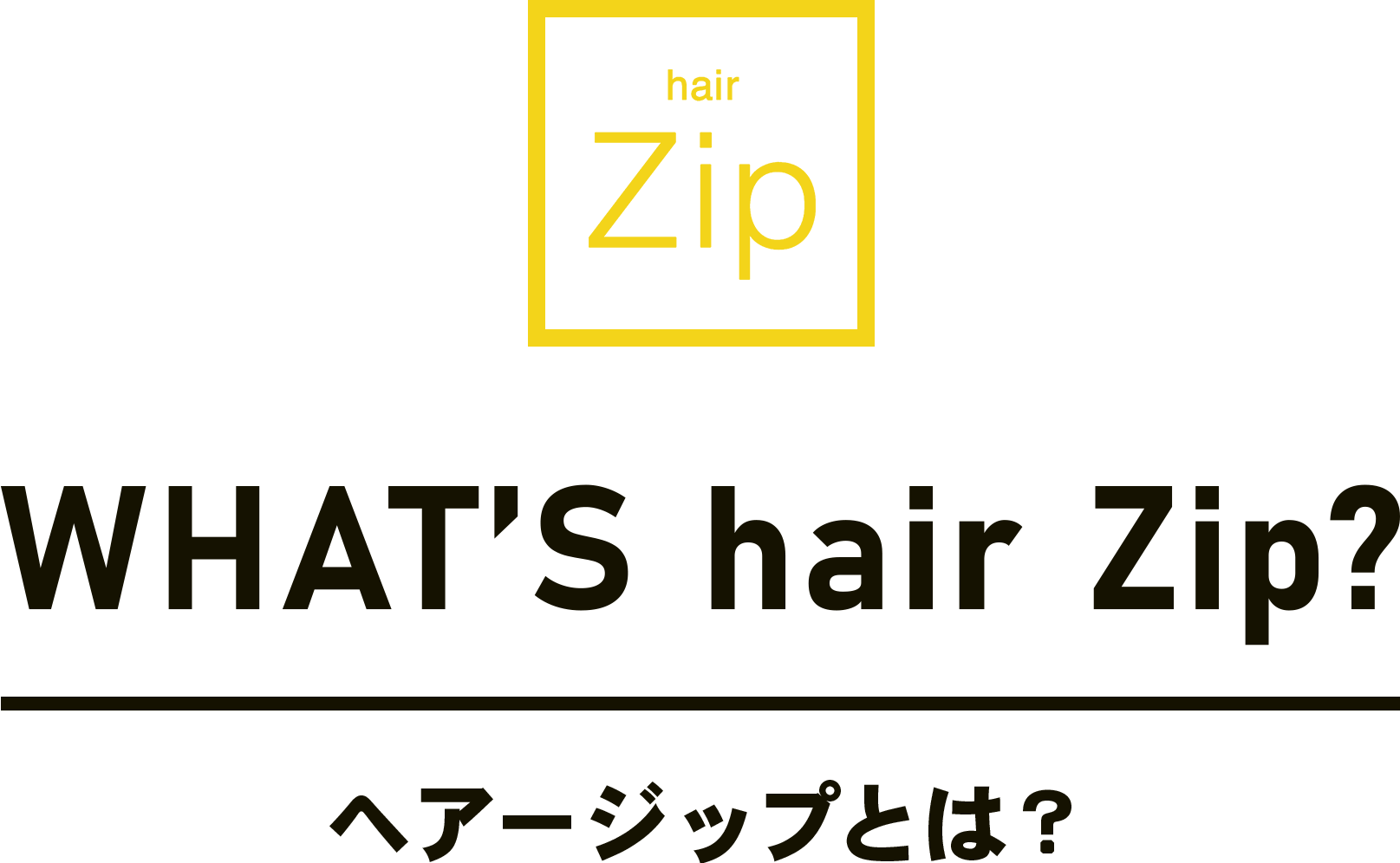 WHAT’S hair Zip?ヘアージップとは？